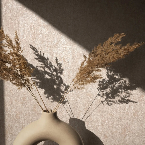 Marburg 35141 wallpaper lounge feature wall with sunlit textured surface, sculptural ceramic vase and dried grasses casting soft shadows.