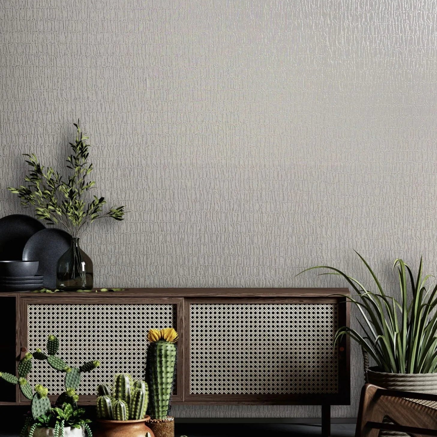 Marburg Kumano 34504 Light gray textured wallpaper behind a cane-front console with black dishes, a glass bottle with branches, potted cacti and succulents, a round woven rug, and part of a wooden chair.