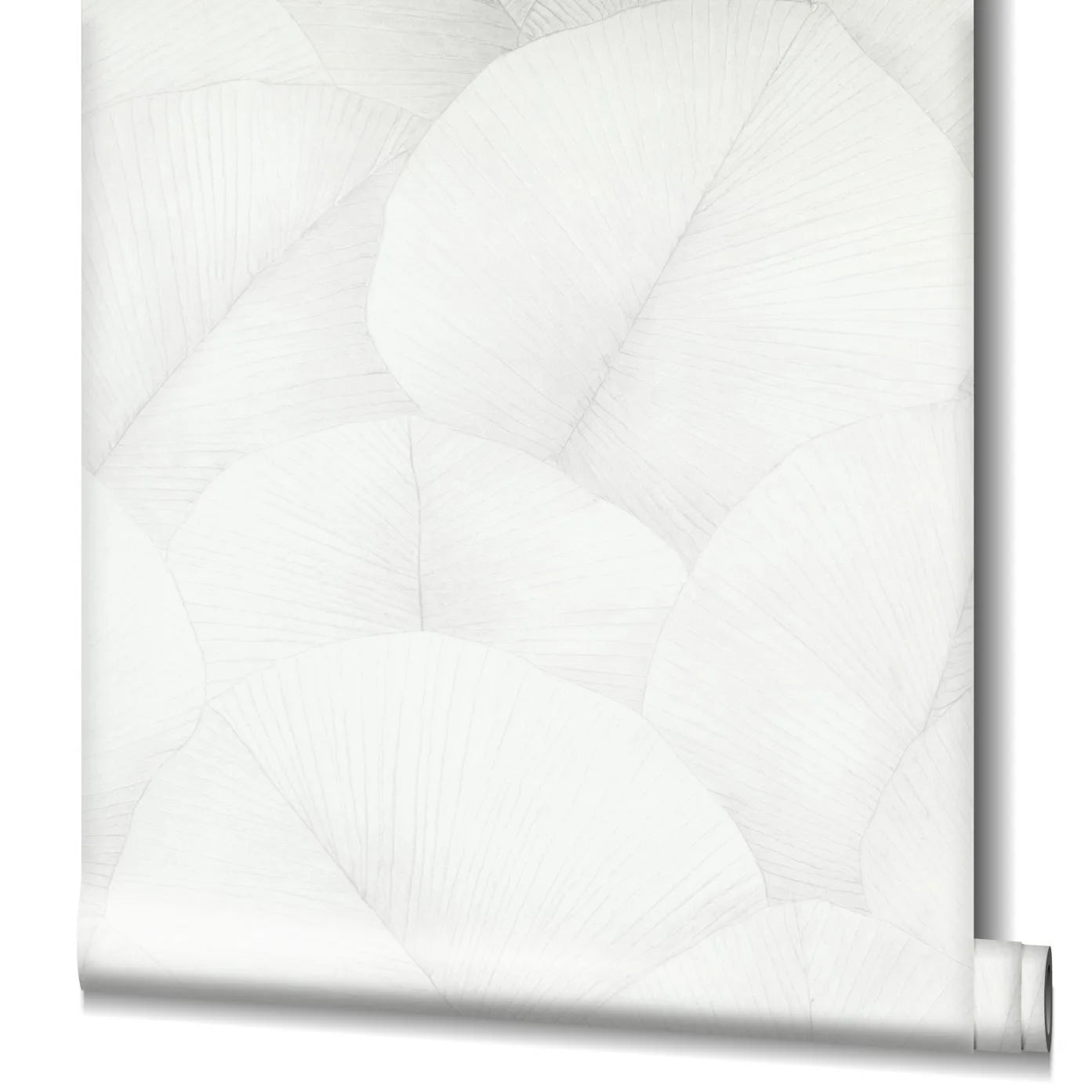 Marburg Kumano 34507 Partially unrolled wallpaper roll showing a white, tonal overlapping leaf pattern with fine linear veins on a plain background.