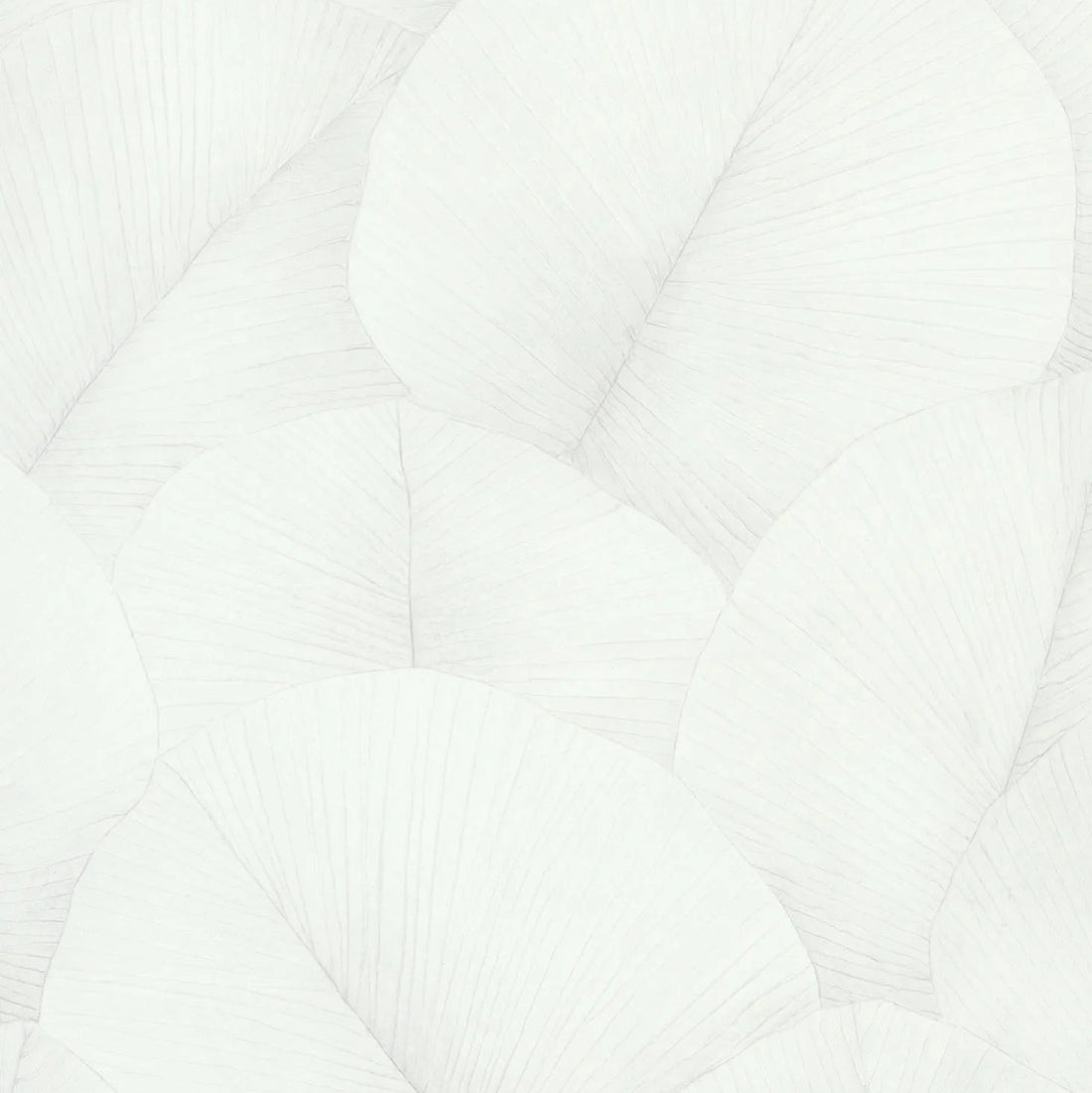 Marburg Kumano 34507 white botanical leaf wallpaper close-up