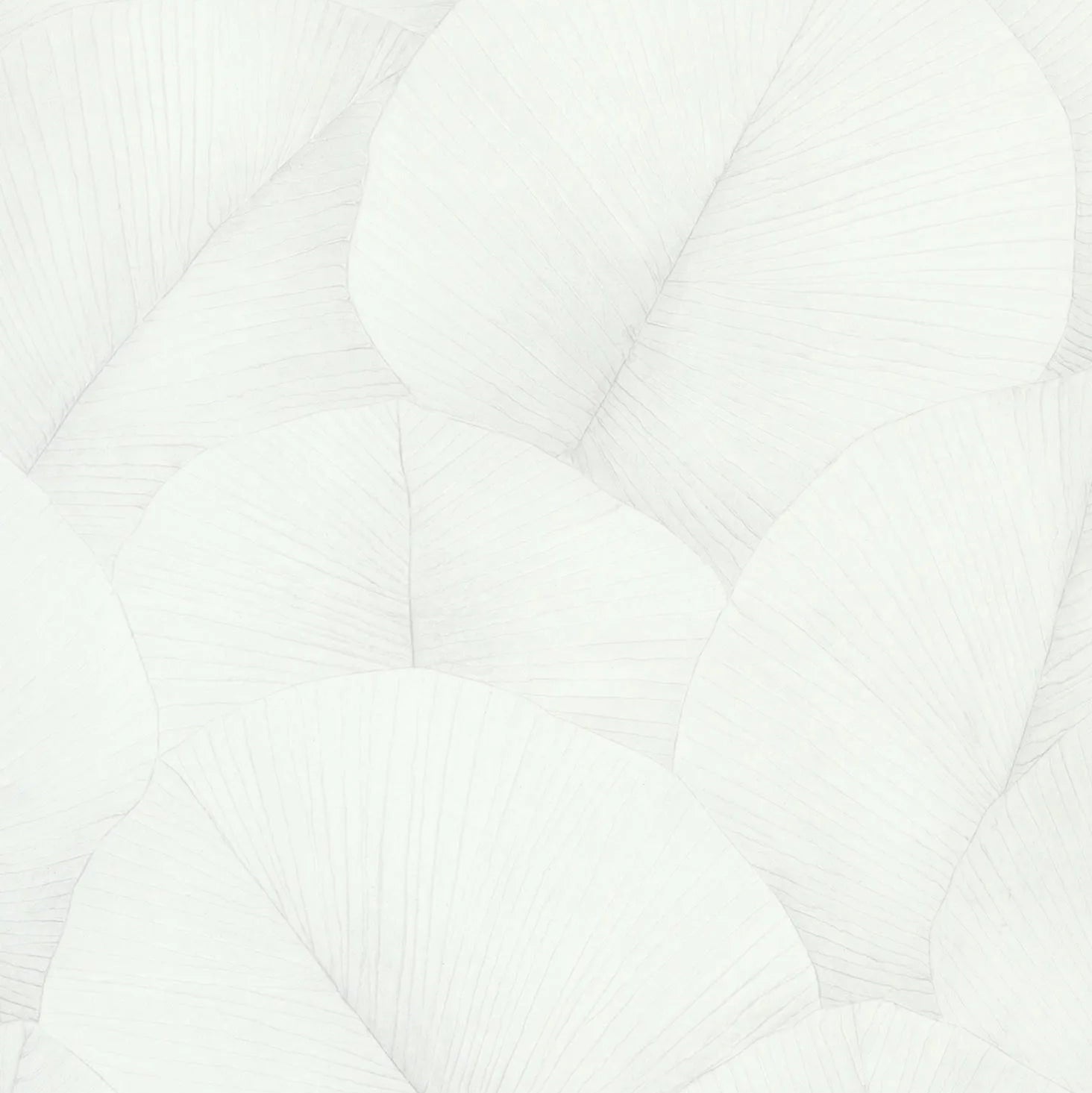 Marburg Kumano 34507 white botanical leaf wallpaper close-up