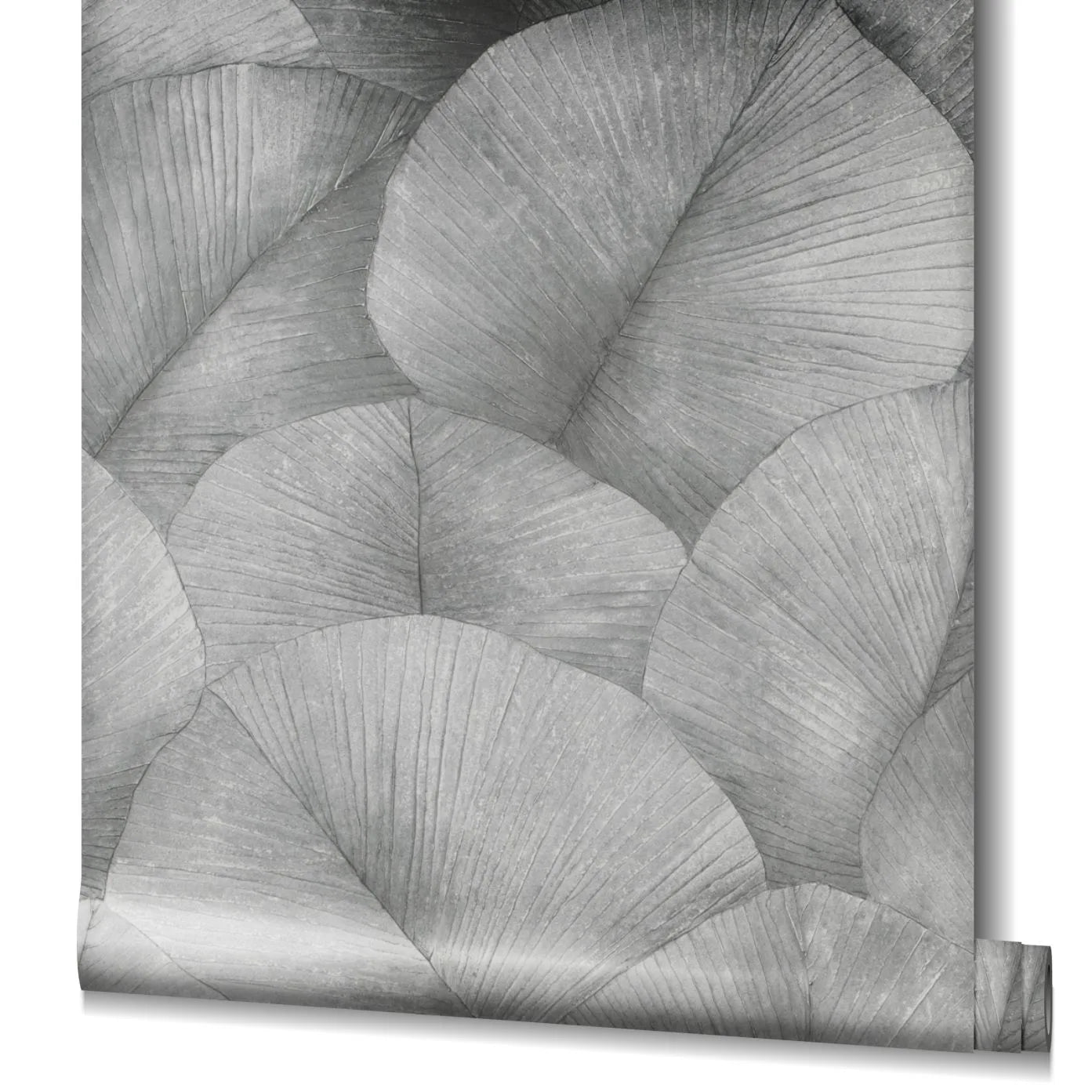 Marburg Kumano 34508 Partially unrolled wallpaper roll showing a gray pattern of overlapping fan-like leaves with fine veins, with the roll visible at the lower right edge.