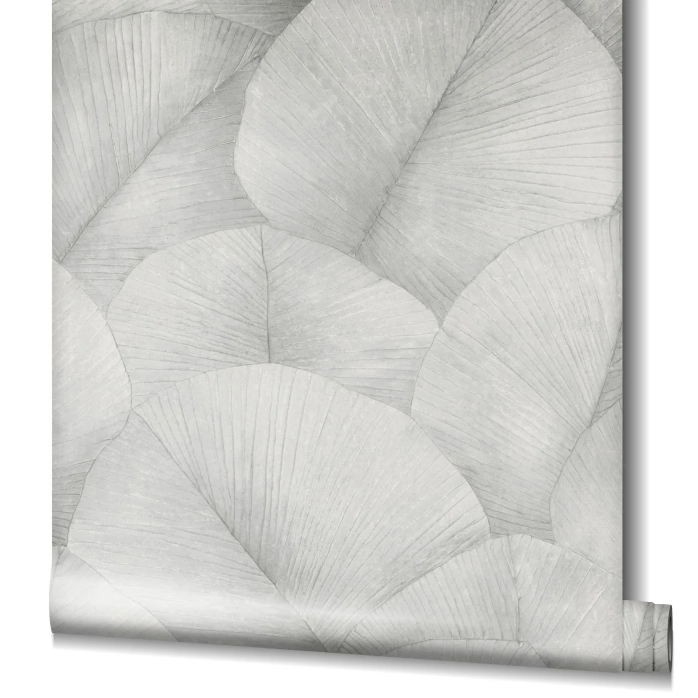 Marburg Kumano 34509 Partially unrolled wallpaper roll displaying large overlapping fan-like leaves in soft gray, with the rolled end visible at the bottom right.
