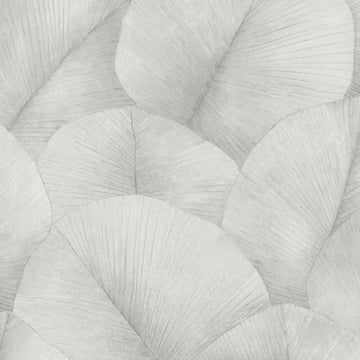 Marburg Kumano 34509 light grey leafy botanical wallpaper with oversized ribbed leaves.