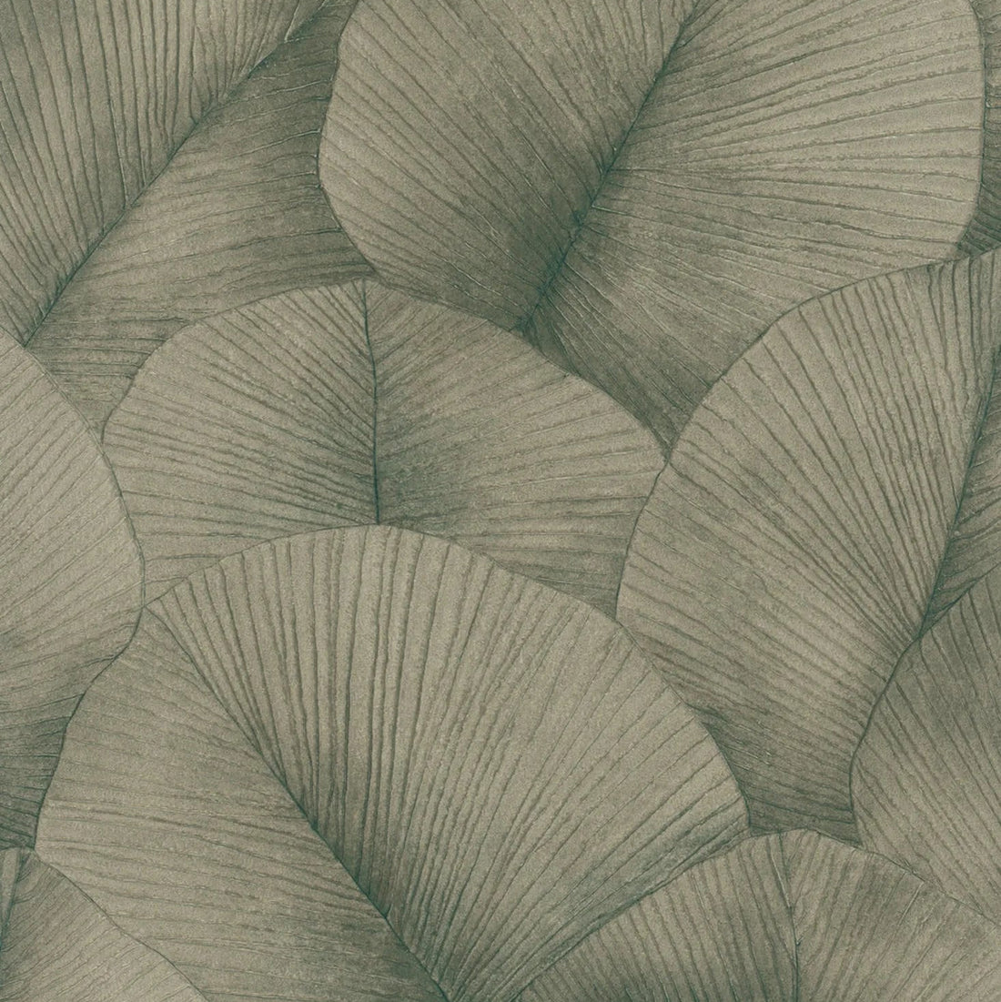 Marburg Kumano 34513 wallpaper with overlapping leafy botanical pattern in muted beige-green tones.