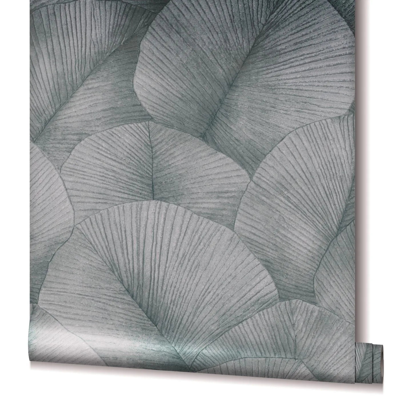 Marburg Kumano 34514 Partially unrolled wallpaper roll showing a large overlapping leaf pattern with fine veins in grey-silver tones, isolated on a white background.