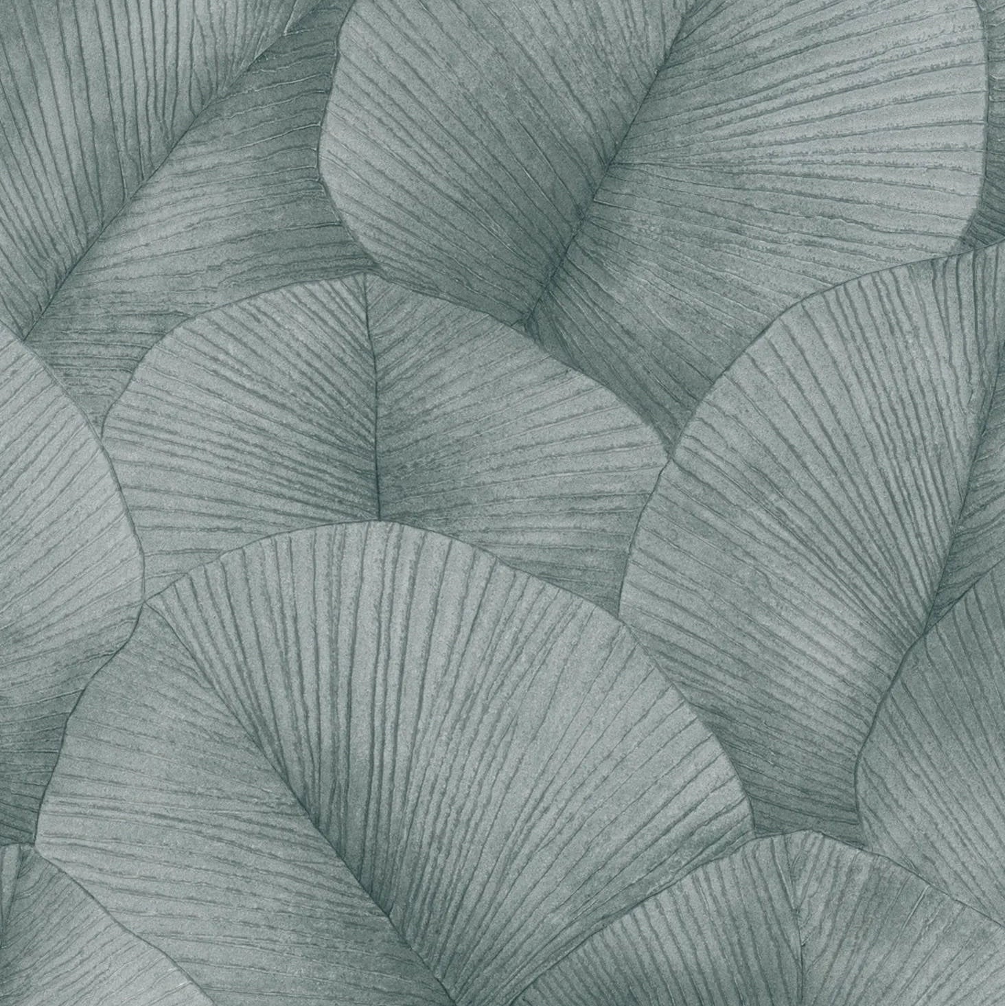Marburg Kumano 34514 wallpaper with large overlapping ribbed leaves in silvery grey‑green tones.