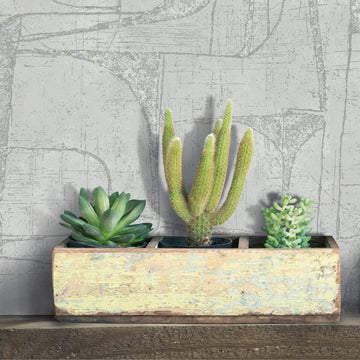 Marburg Leyla 82452 Gray abstract wallpaper with distressed, sketch-like lines behind a rectangular wooden planter holding three succulents, including a tall cactus, on a wooden shelf.