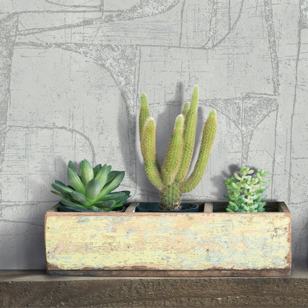 Marburg Leyla 82452 Gray abstract wallpaper with distressed, sketch-like lines behind a rectangular wooden planter holding three succulents, including a tall cactus, on a wooden shelf.