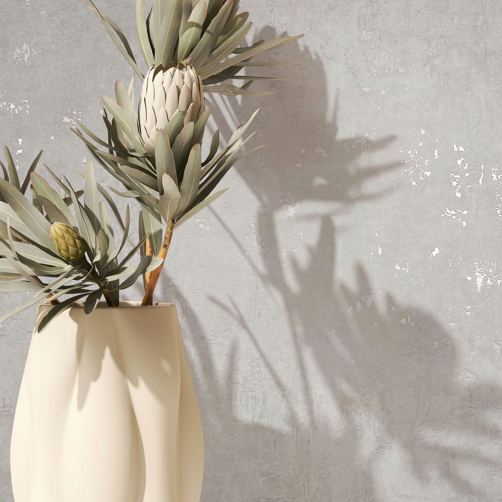 Marburg Naomi 82499 Close-up of light gray textured wallpaper with a subtle plaster effect, shown behind a cream ceramic vase holding protea stems and casting soft shadows.