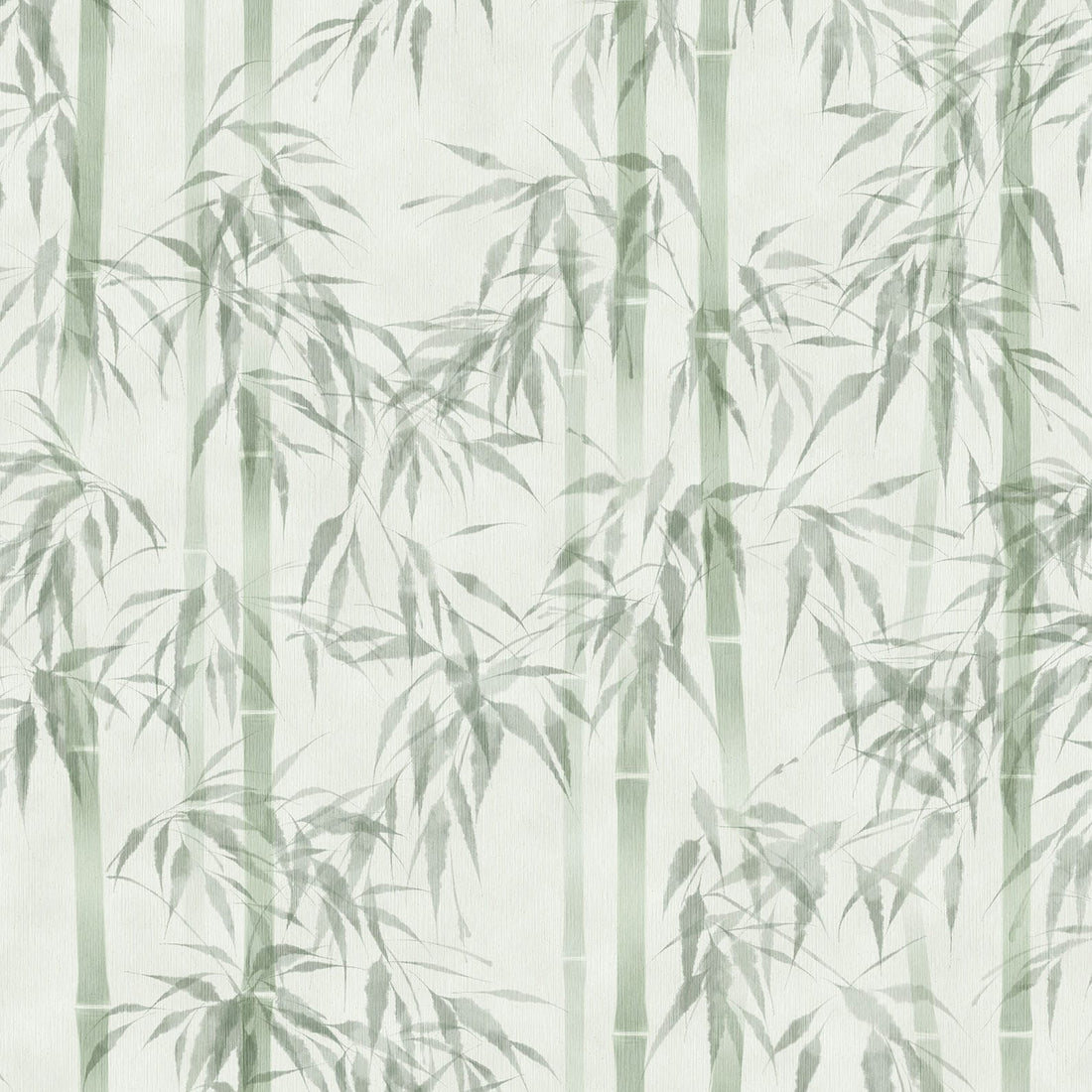 Marburg Novamur Mona 81674 wallpaper with soft green bamboo on a white background