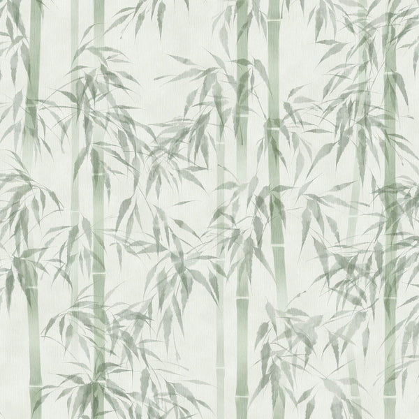 Marburg Novamur Mona 81674 wallpaper with soft green bamboo on a white background