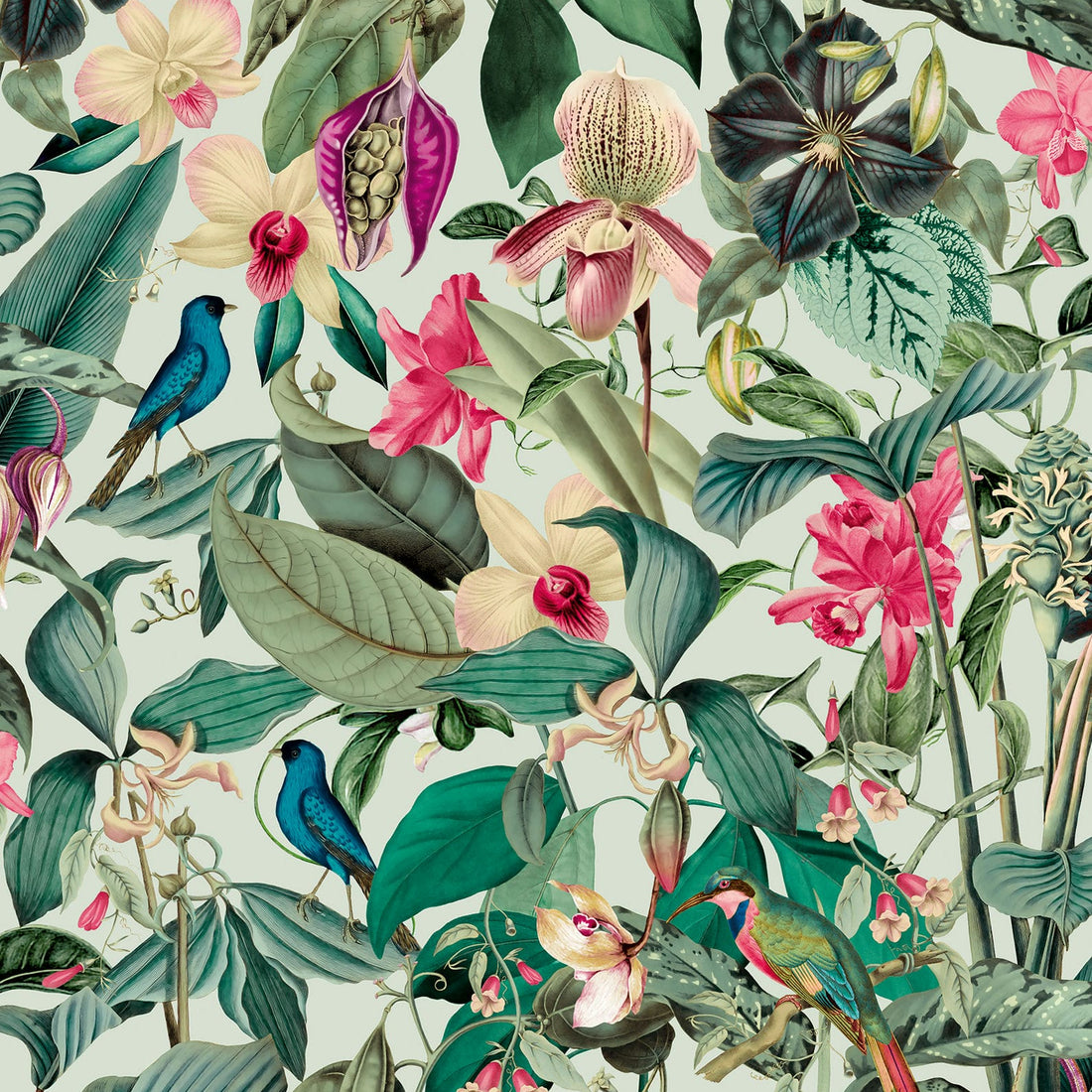 Marburg Novamur Mona 81684 green botanical wallpaper with orchids and birds on a smooth non-woven base