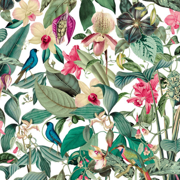 Marburg Novamur Mona 81686 green botanical wallpaper with orchids and birds on white