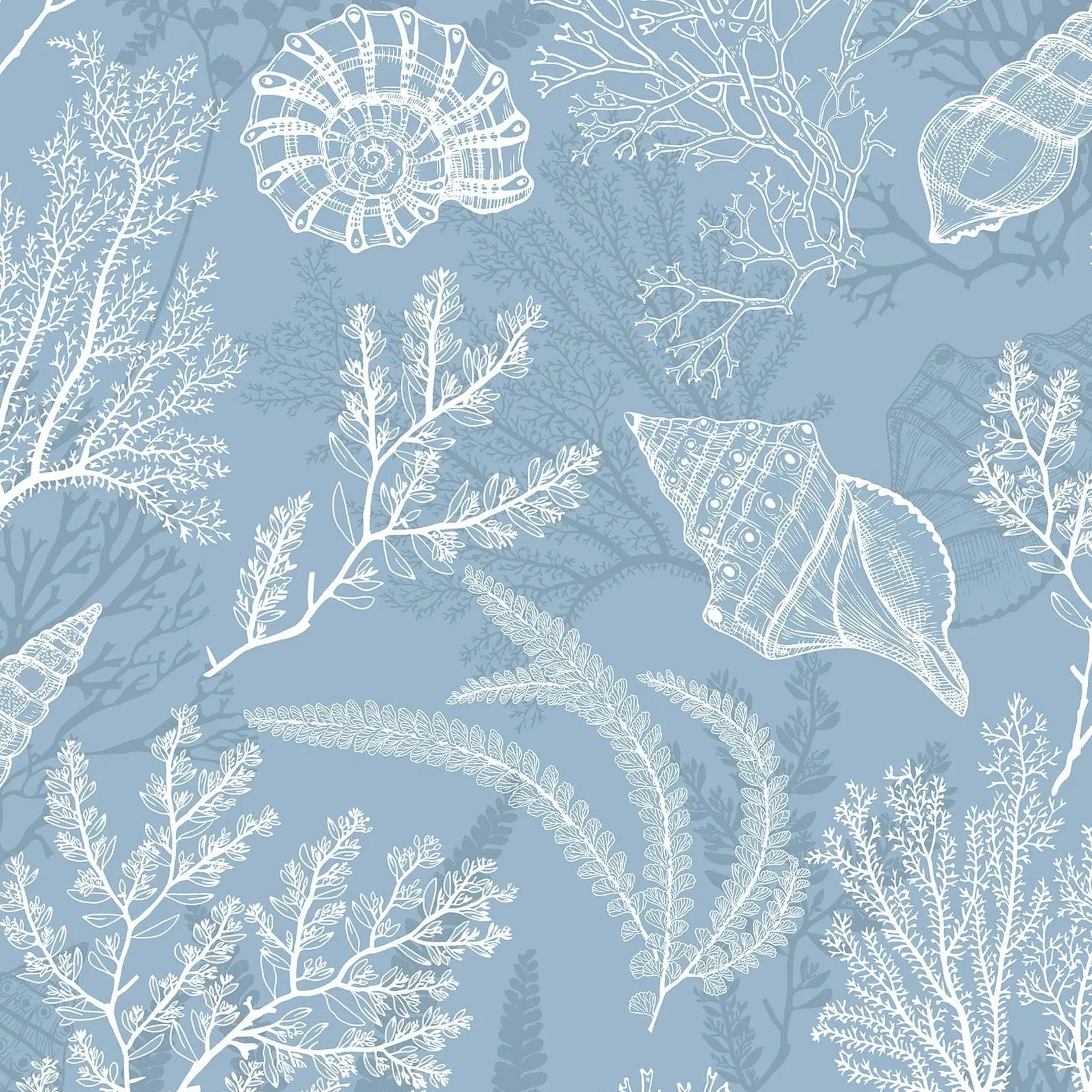 Dusty blue wallpaper with white coral branches and seashell line art by Marburg, pattern 81689.