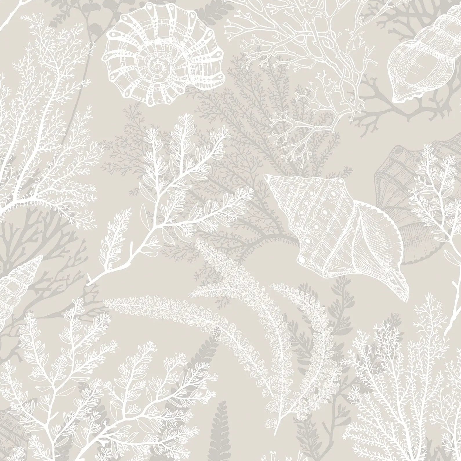 Marburg Novamur Mona 81690 wallpaper with white and grey coral and shells on a warm beige background.