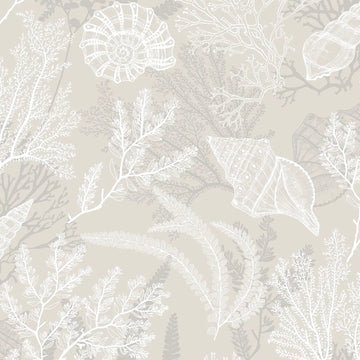 Marburg Novamur Mona 81690 wallpaper with white and grey coral and shells on a warm beige background.