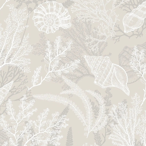 Marburg Novamur Mona 81690 wallpaper with white and grey coral and shells on a warm beige background.