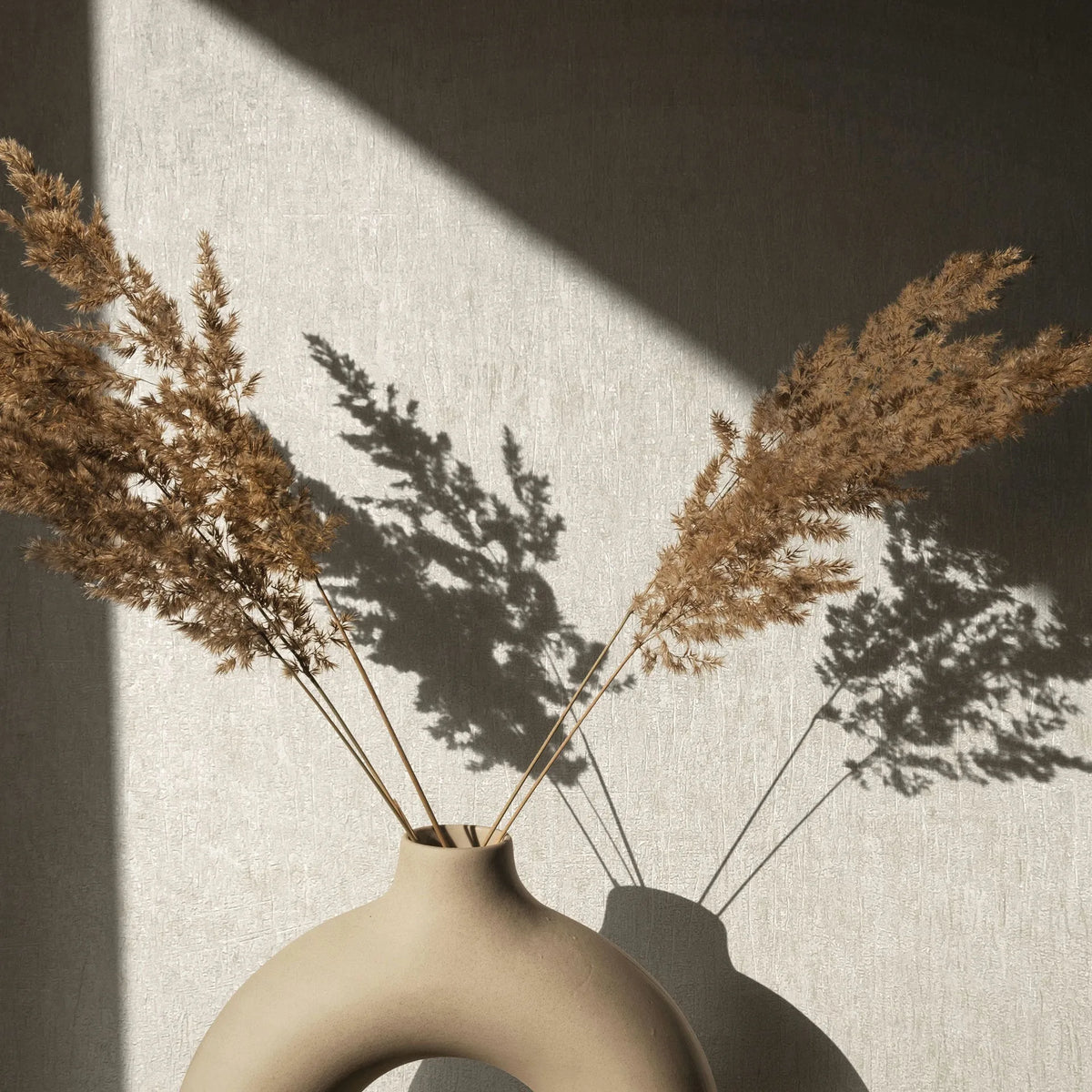 Marburg Ritus 35522 Close-up of beige textured wallpaper lit by angled sunlight, with an arched ceramic vase holding dried grasses casting strong shadows on the wall.