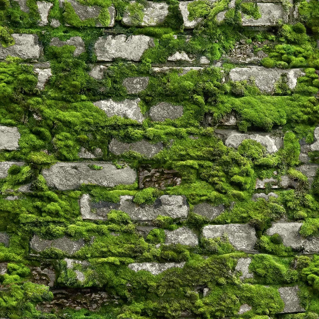 Marburg Struktura 45731 moss-covered stone wall effect wallpaper in deep forest green.