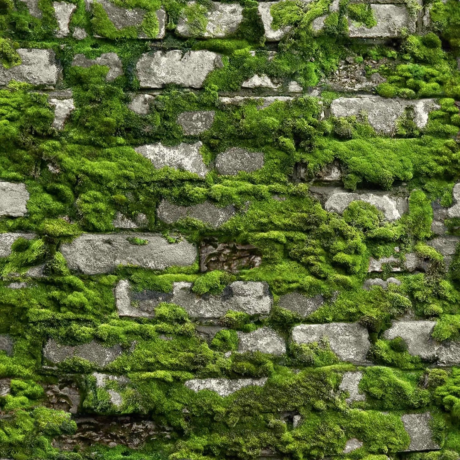 Marburg Struktura 45731 moss-covered stone wall effect wallpaper in deep forest green.