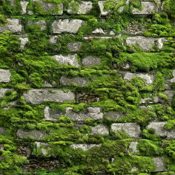 Marburg Struktura 45731 moss-covered stone wall effect wallpaper in deep forest green.