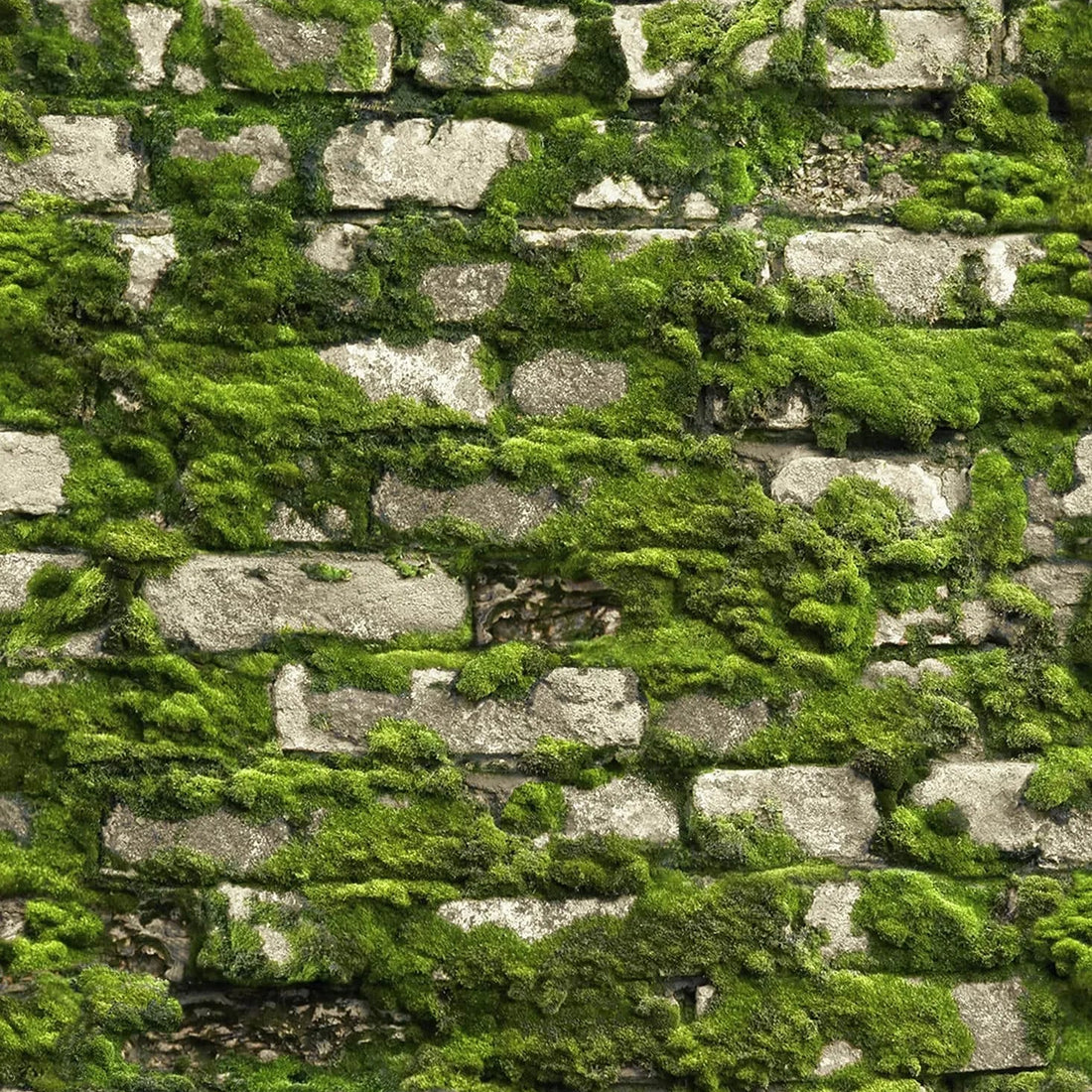 Marburg Struktura 45732 wallpaper with a moss-covered stone wall effect in deep forest green.