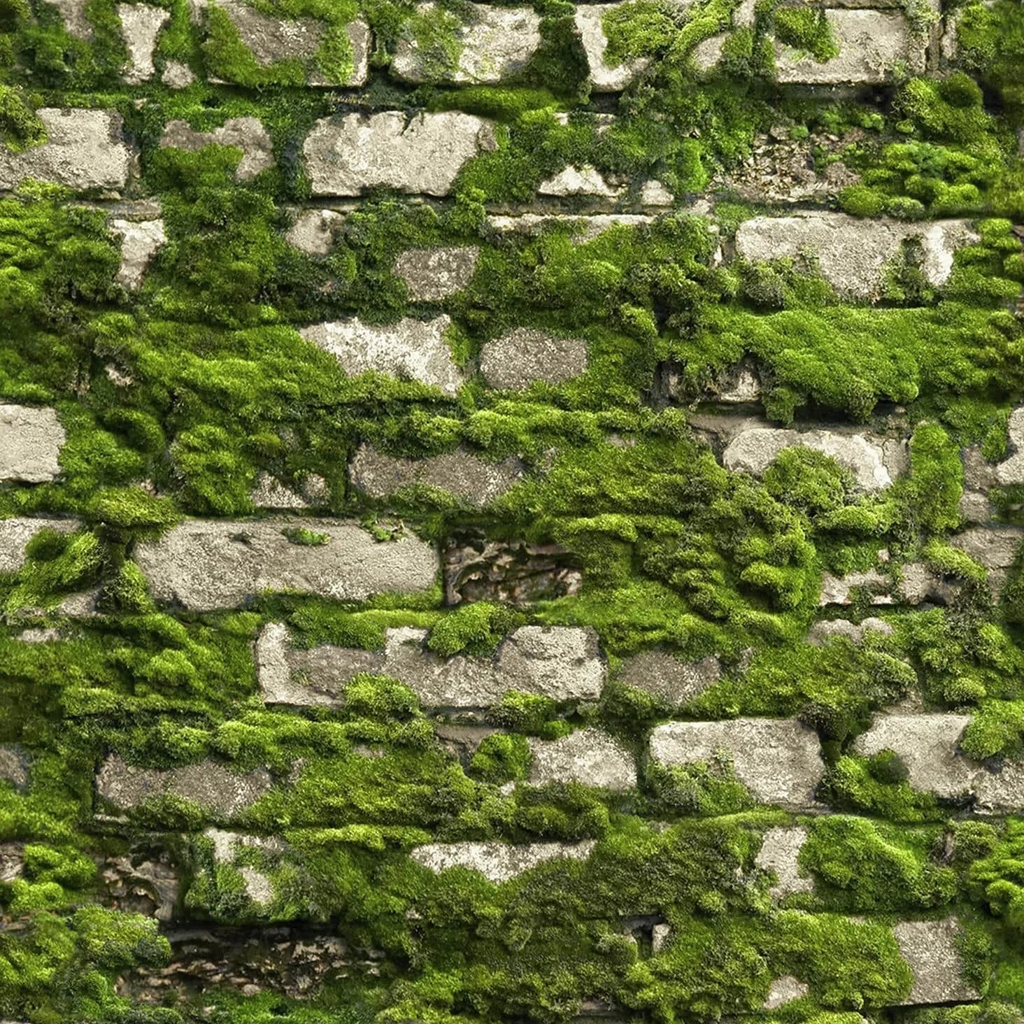 Marburg Struktura 45732 wallpaper with a moss-covered stone wall effect in deep forest green.