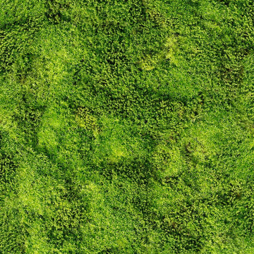 Marburg Struktura 45733 olive-green moss-like botanical wallpaper with dense small-leaf texture.