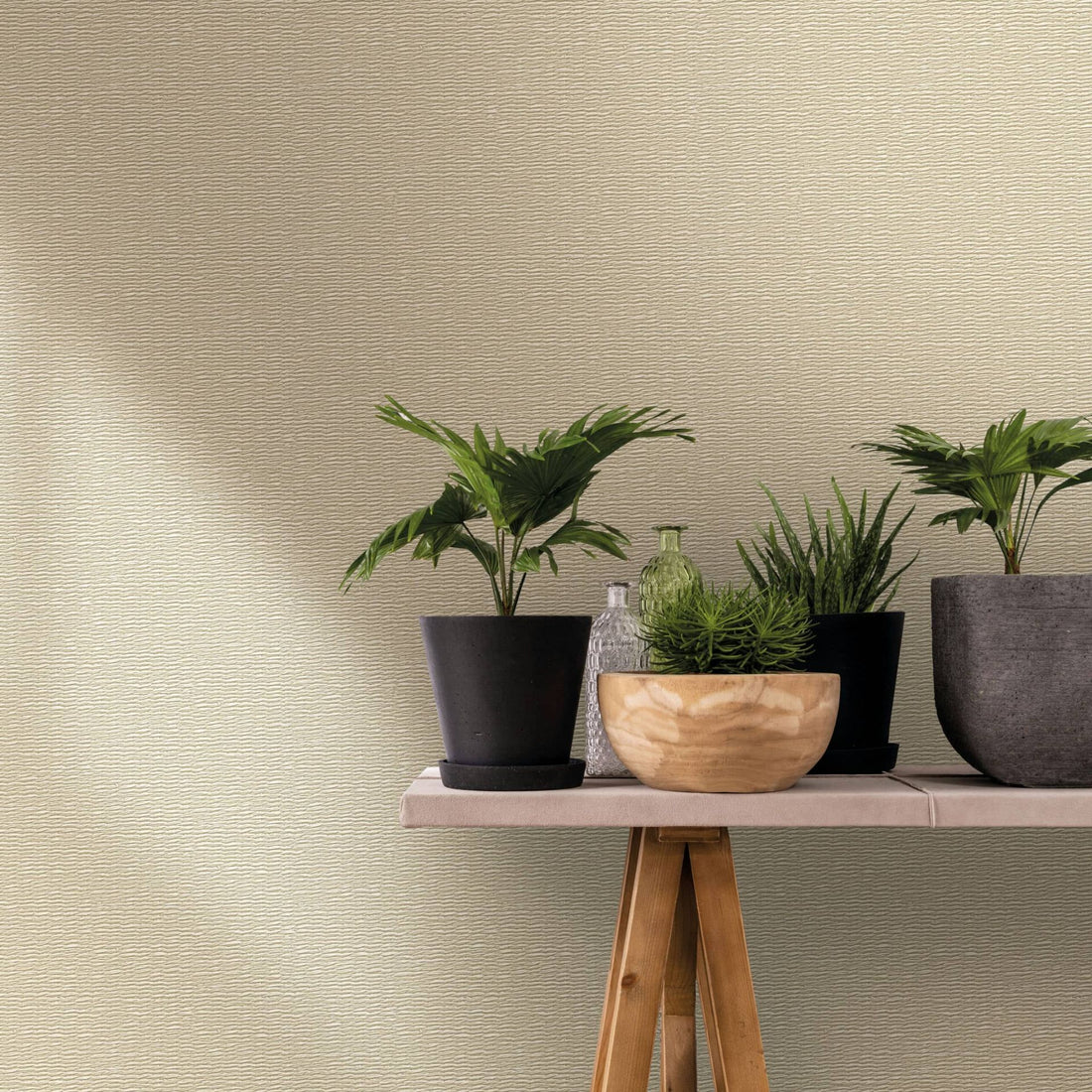 Marburg Travertino 33385 Beige wallpaper with a fine horizontal texture behind a narrow wooden table styled with potted plants and small glass bottles.