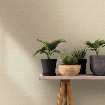 Marburg Travertino 33385 Beige wallpaper with a fine horizontal texture behind a narrow wooden table styled with potted plants and small glass bottles.