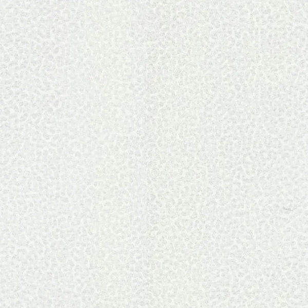Closeup of a wallpaper showing its Luxury, Monochrome, Textures, Vinyl, White pattern, color, and subtle texture.