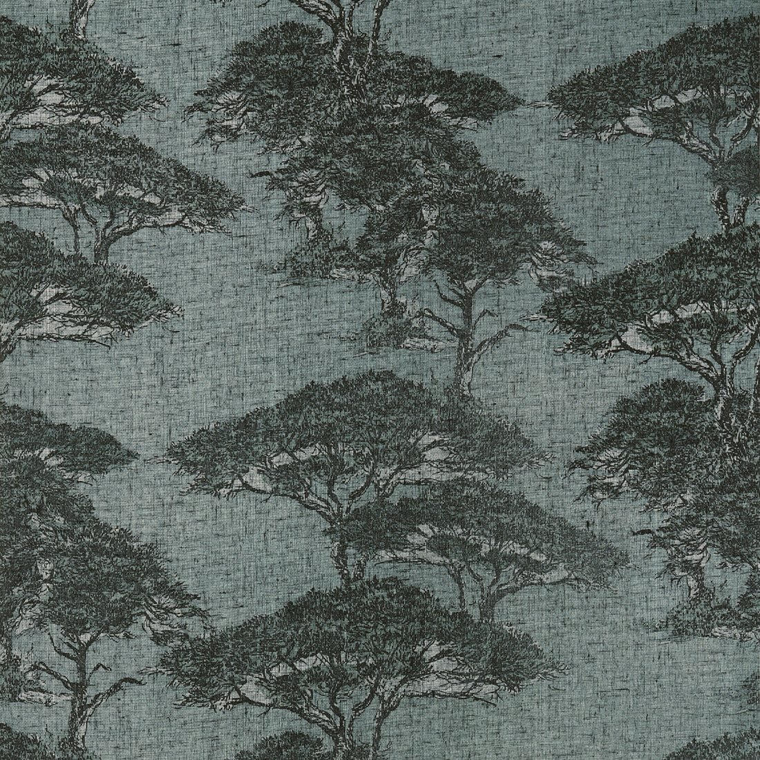 Thibaut Torrey Pines wallpaper in Mineral T24434 with layered pine trees on a dusty blue linen-mesh texture.