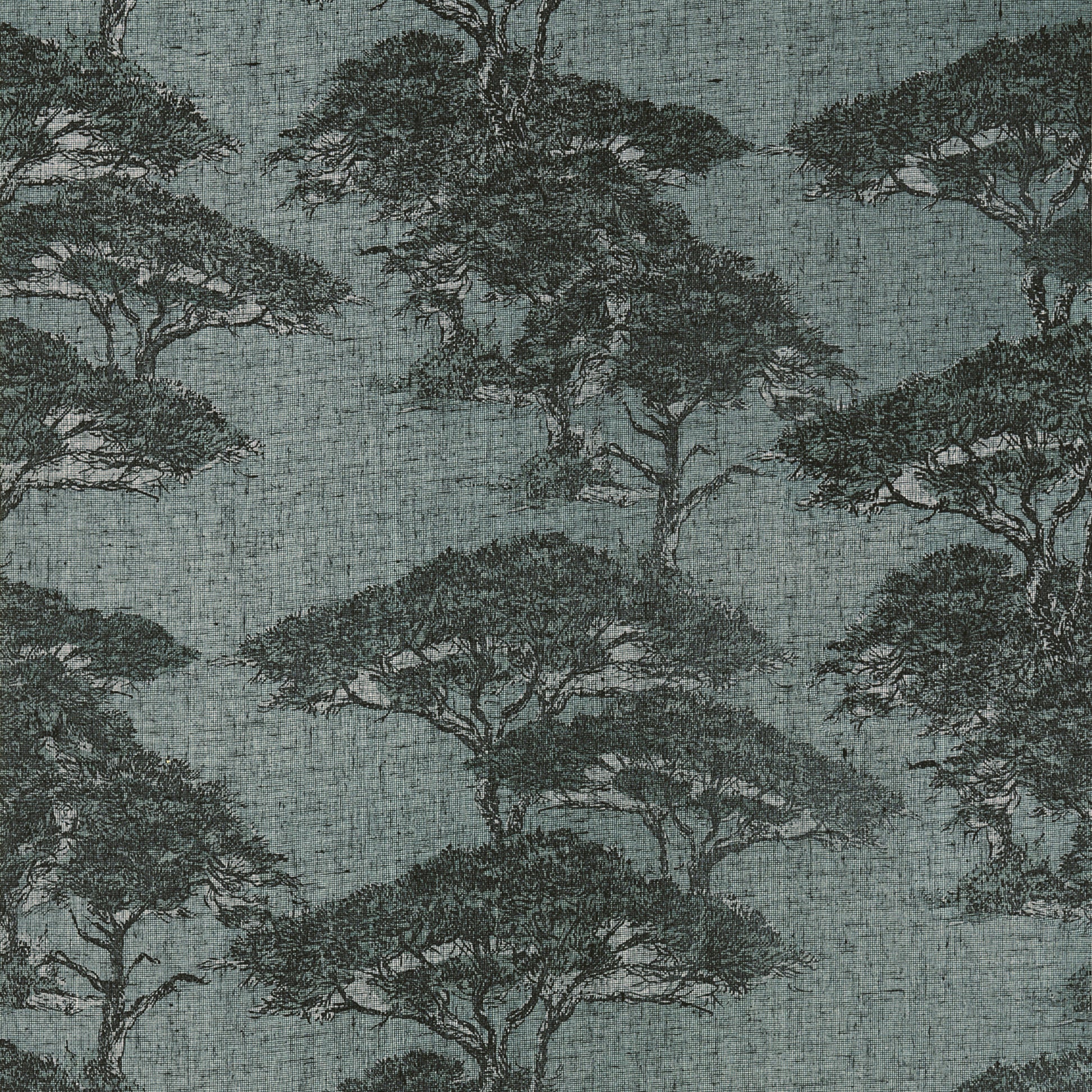 Thibaut Torrey Pines wallpaper in Mineral T24434 with layered pine trees on a dusty blue linen-mesh texture.