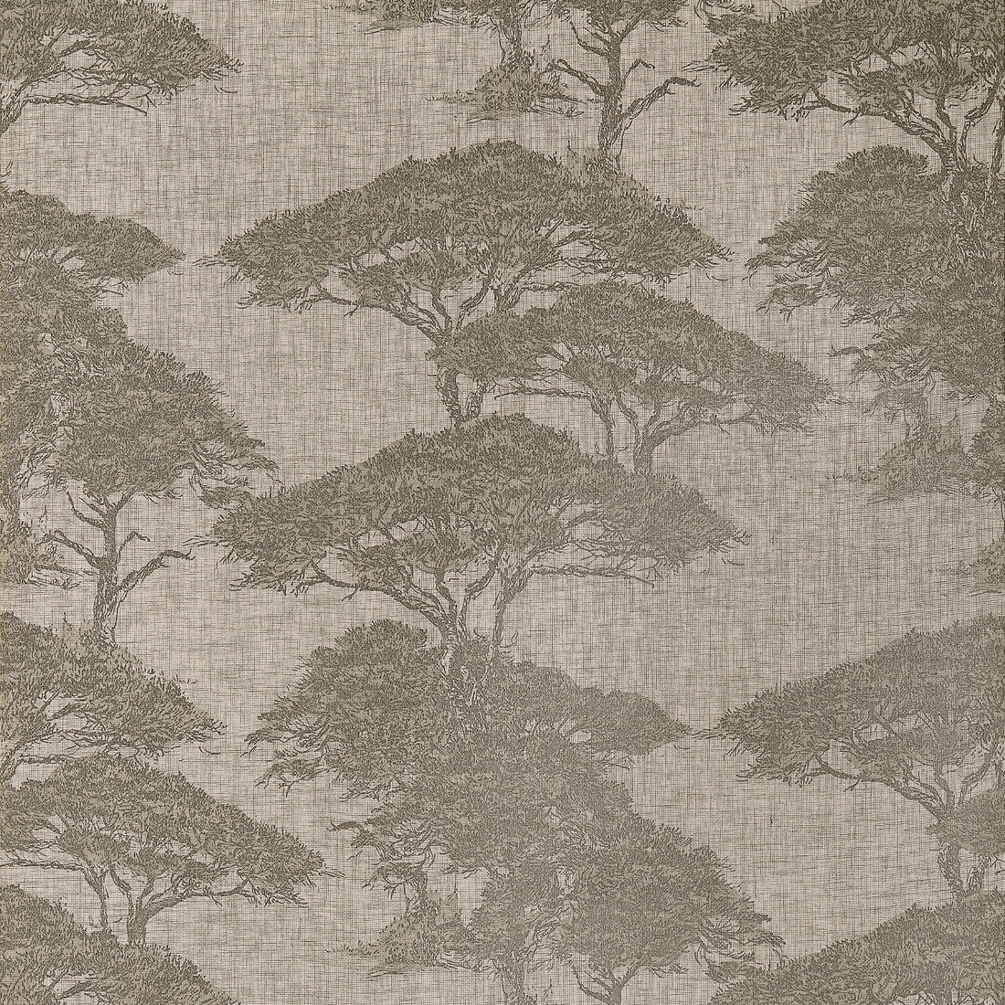 Thibaut Torrey Pines wallpaper in beige and black with layered pine tree motif over a linen mesh texture.
