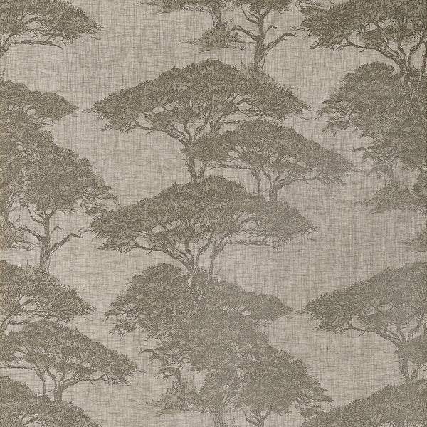 Thibaut Torrey Pines wallpaper in beige and black with layered pine tree motif over a linen mesh texture.