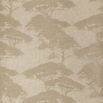 Thibaut Torrey Pines Champagne T24436 wallpaper with large-scale tree silhouettes over a warm beige linen mesh texture