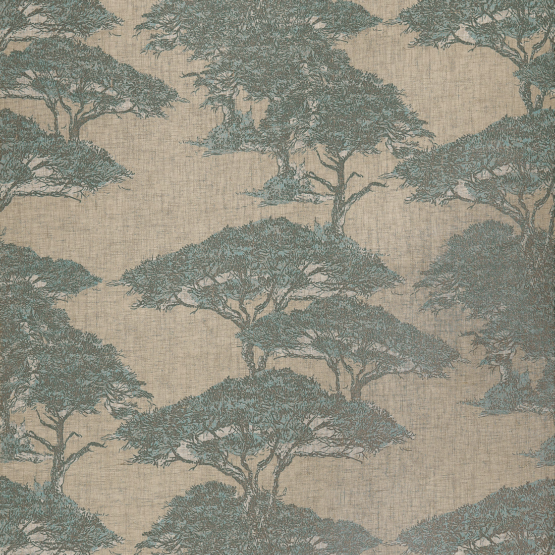Thibaut Torrey Pines wallpaper in Spa Blue with large-scale pine trees over a natural linen mesh background.