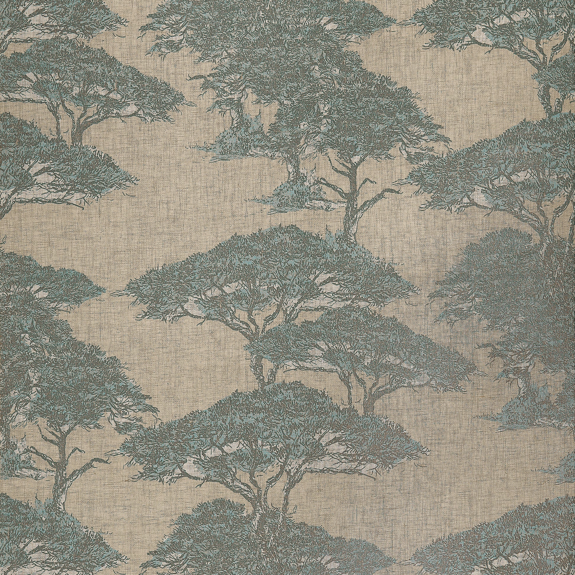Thibaut Torrey Pines wallpaper in Spa Blue with large-scale pine trees over a natural linen mesh background.