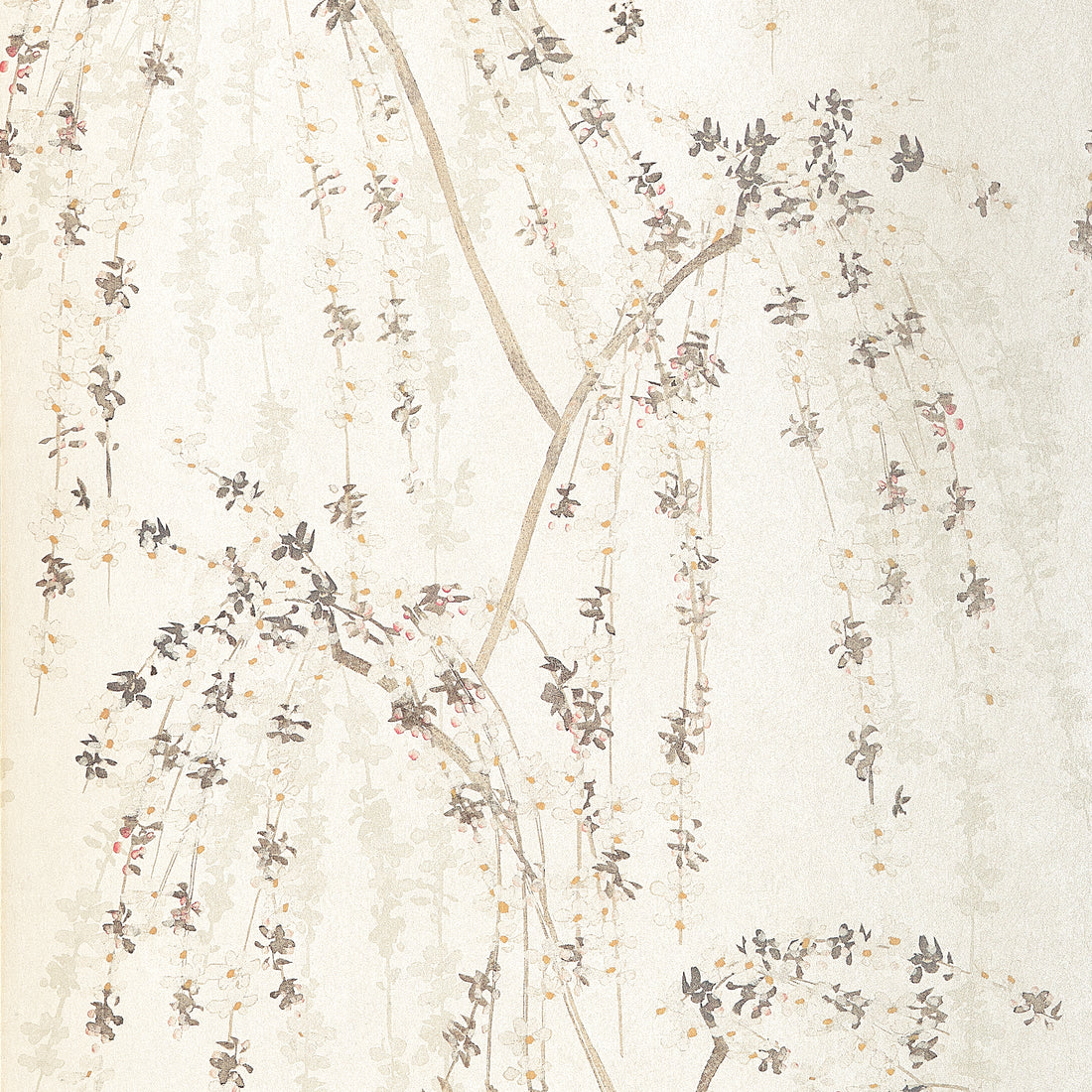 Thibaut Weeping Blossom T24454 wallpaper in White with trailing cherry blossom branches on a warm cream ground.