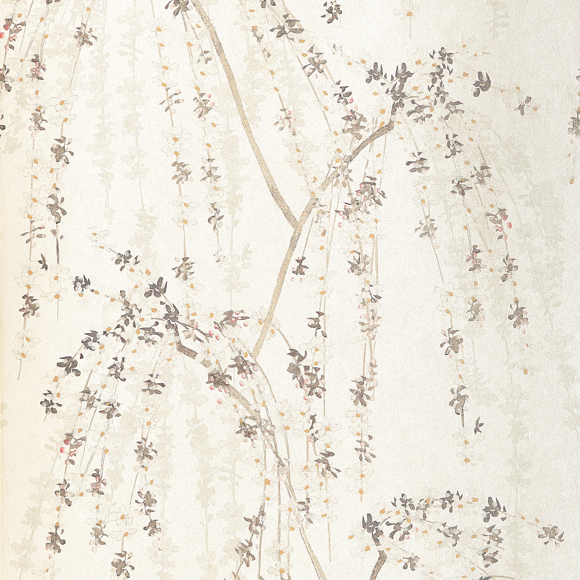 Thibaut Weeping Blossom T24454 wallpaper in White with trailing cherry blossom branches on a warm cream ground.