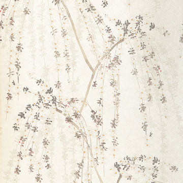 Thibaut Weeping Blossom T24454 wallpaper in White with trailing cherry blossom branches on a warm cream ground.