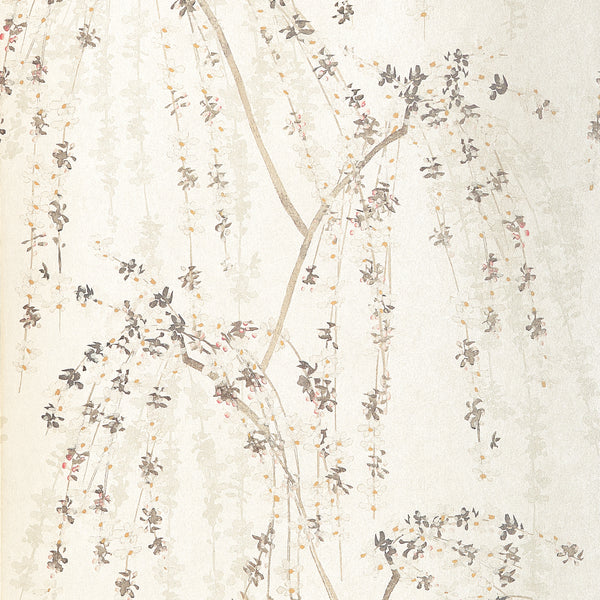 Thibaut Weeping Blossom T24454 wallpaper in White with trailing cherry blossom branches on a warm cream ground.