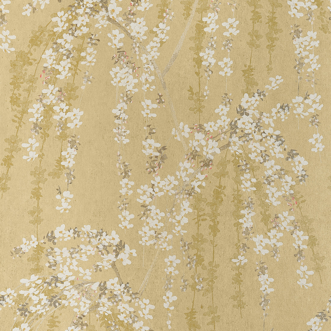 Thibaut Weeping Blossom Gold T24455 wallpaper with cascading white cherry blossoms on a soft gold ground.