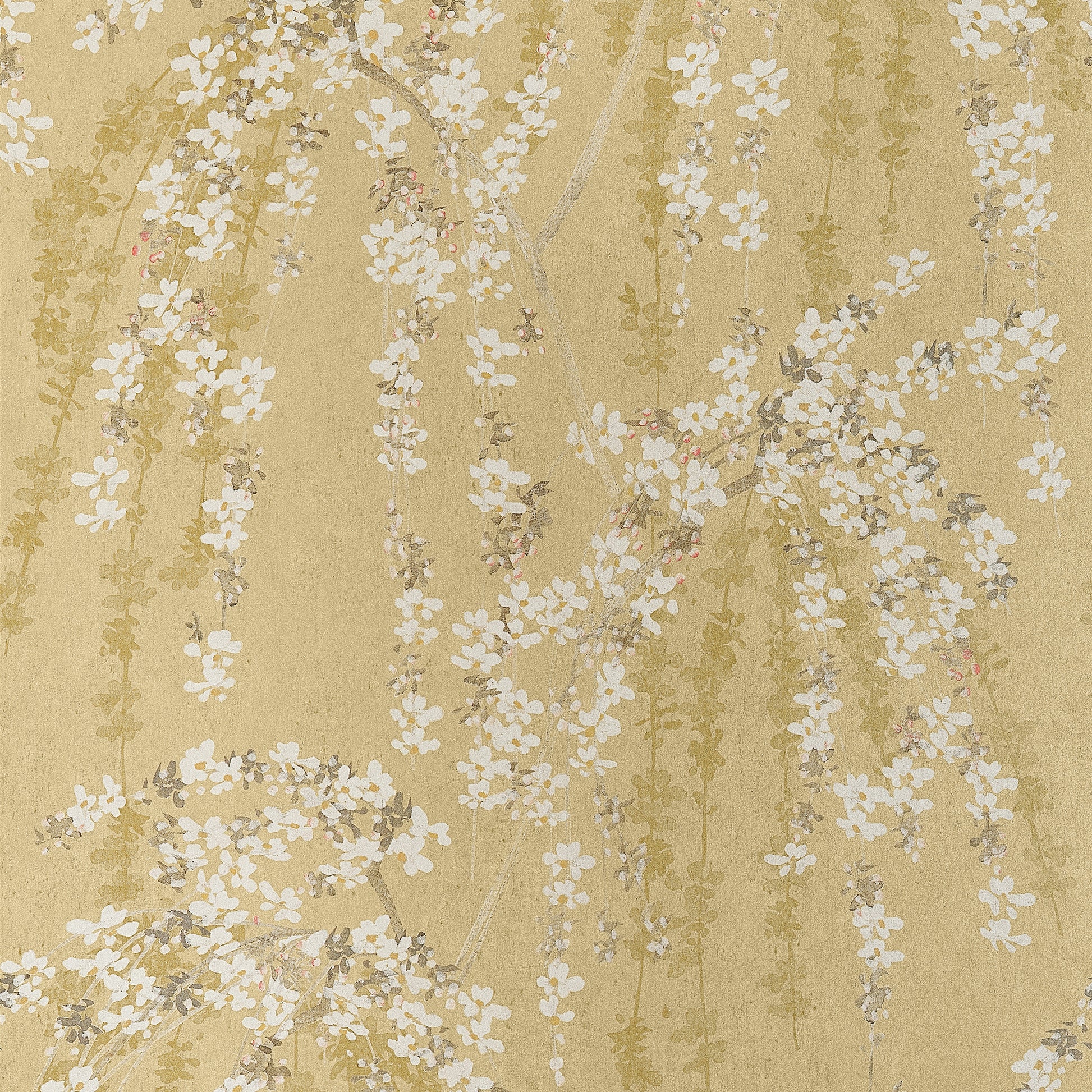 Thibaut Weeping Blossom Gold T24455 wallpaper with cascading white cherry blossoms on a soft gold ground.