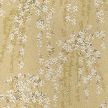 Thibaut Weeping Blossom Gold T24455 wallpaper with cascading white cherry blossoms on a soft gold ground.